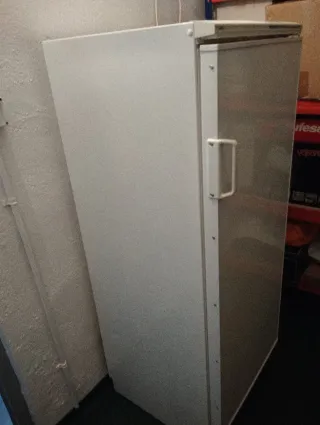 Congelatore Verticale Bianco