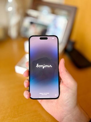 iPhone 14 Pro Max Negro