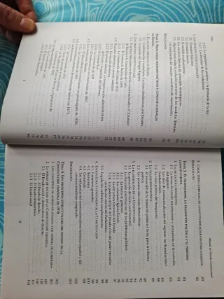 Manual de derecho constitucional. (Manuales) (S...