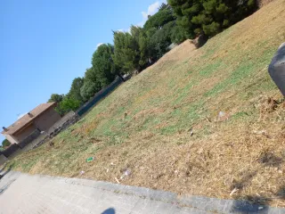 Limpieza jardines parcelas poda en altura