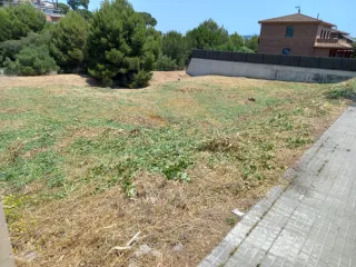 Limpieza jardines parcelas poda en altura