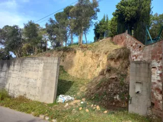 Limpieza jardines parcelas poda en altura