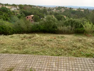 Limpieza jardines parcelas poda en altura