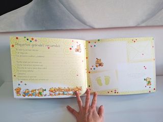 Libro Recuerdos Bebé Busquets