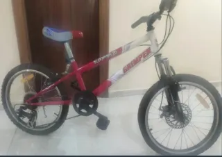 Bicicleta GRIMPER SLOOPING 20