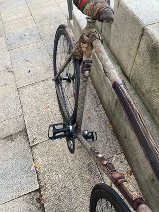 Cambio por Bicicleta estilo Gucci