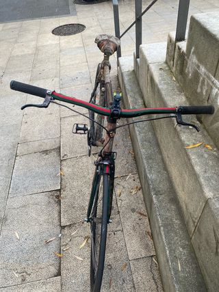 Cambio por Bicicleta estilo Gucci