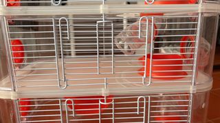 Jaula hámster 3 niveles naranja y transparente