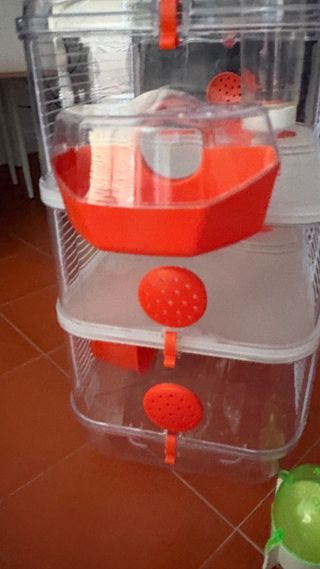 Jaula hámster 3 niveles naranja y transparente