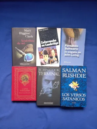LOTE DE 35 LIBROS