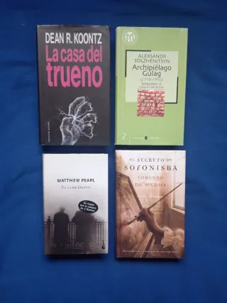 LOTE DE 35 LIBROS