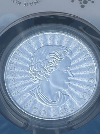 Plata Pura 1oz Canadá Oso Polar 2022