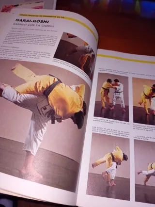 Libro manual judo