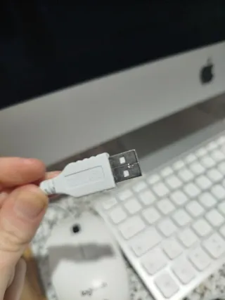 Apple iMac Plata con teclado y ratón ✨