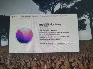Apple iMac Plata con teclado y ratón ✨