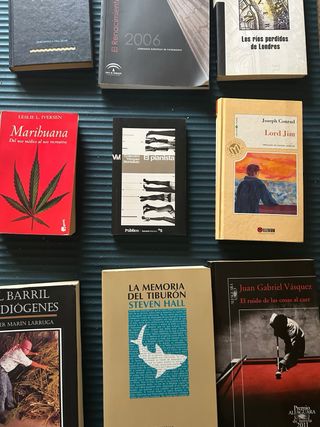 NOVELA CONTEMPORANEA.