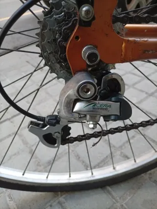 Bicicleta BH avec chaise pour enfants.