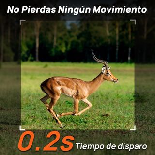 Cámara caza iZEEKER 4G 48MP 2K fototrampeo