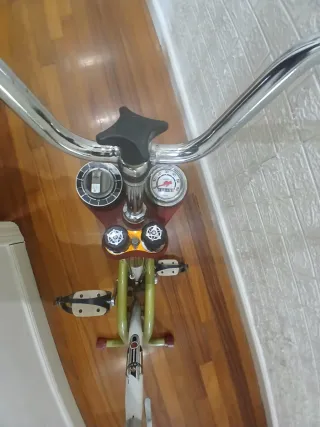 Bicicleta Estática Torrot Vintage 70s