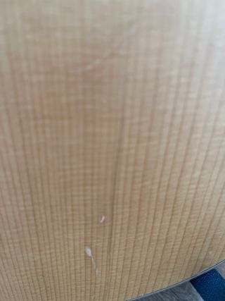 Taylor GS Mini + Pastilla ES Go + funda original