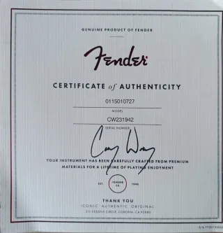 Guitarra Eléctrica American Fender Stratocaster