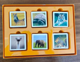 Juego Memo photo animals Diset 54 cartas