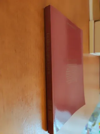 HIJOS DEL CAPITAN GRANT EN EL ...