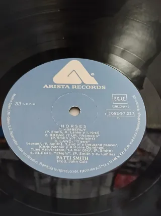 Patti Smith Horses Vinilo LP