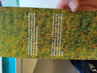 El fútbol, una peste emocional