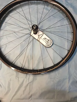 Llanta Campagnolo Zonda