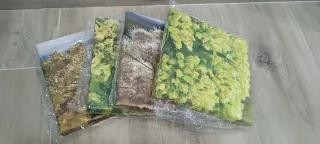 Conjunto 4 cuadros 20x20 foto en lienzo con marco