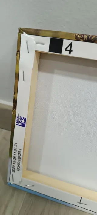 Conjunto 4 cuadros 20x20 foto en lienzo con marco