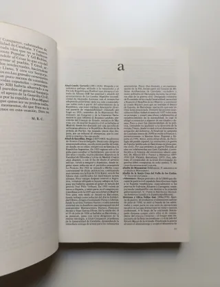 Diccionario de la Guerra Civil española.