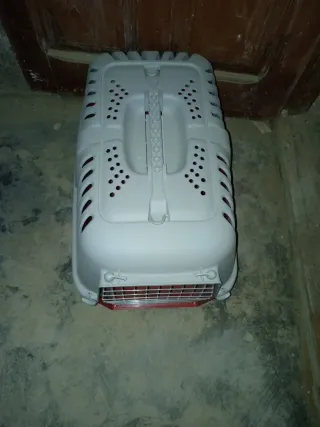 Transportín para gato