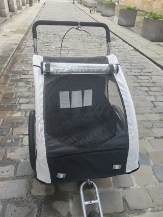 Carro remolque bicicleta niños