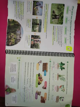 CIENCIAS DE LA NATURALEZA 2 PRIMARIA CONTRUYEND...