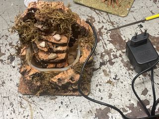 Fuente Belén Cascada Rocosa Musgo