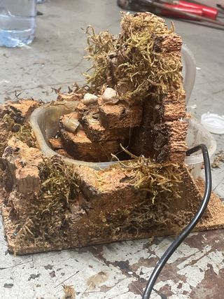 Fuente Belén Cascada Rocosa Musgo