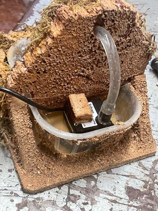 Fuente Belén Cascada Rocosa Musgo