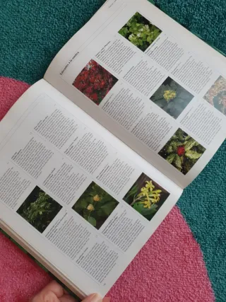 Jardin y Arquitectura - Guia Completa D/Plan (S...