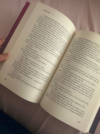 Livro Amor de Alto Risco