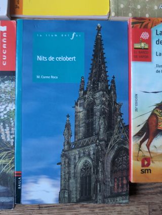 Libros ESO en catalan y castellano.  5 euros cada