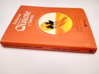 Andanzas de Don Quijote y Sancho (Spanish Edition)