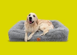 Cama Hundino Afelpada XL para Perro