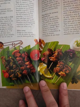 Yum Cha y Otras Delicias Asiaticas (Spanish Edi...