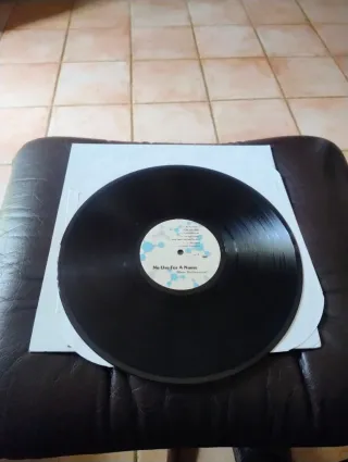 No Use For A Name More Betterness! Lp. First Press