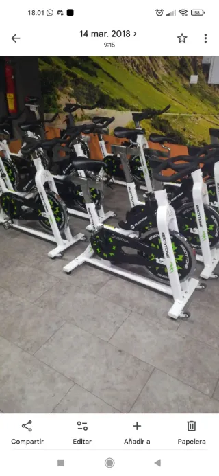 Bicicleta Spinning Bodytone Ciclo Indoor