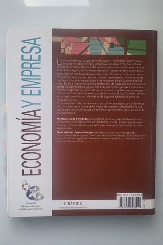 Econometría (Spanish Edition)