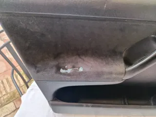 Paños Puerta Golf MK3