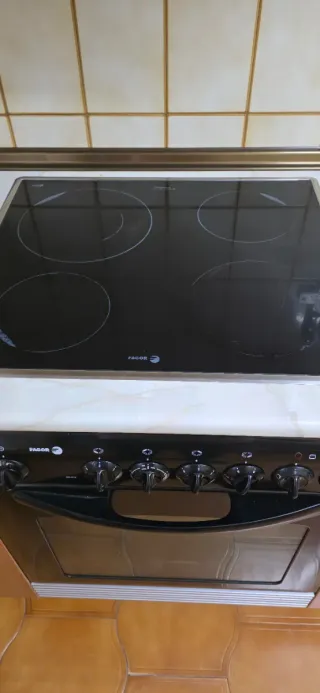 Horno y vitrocerámica Fagor